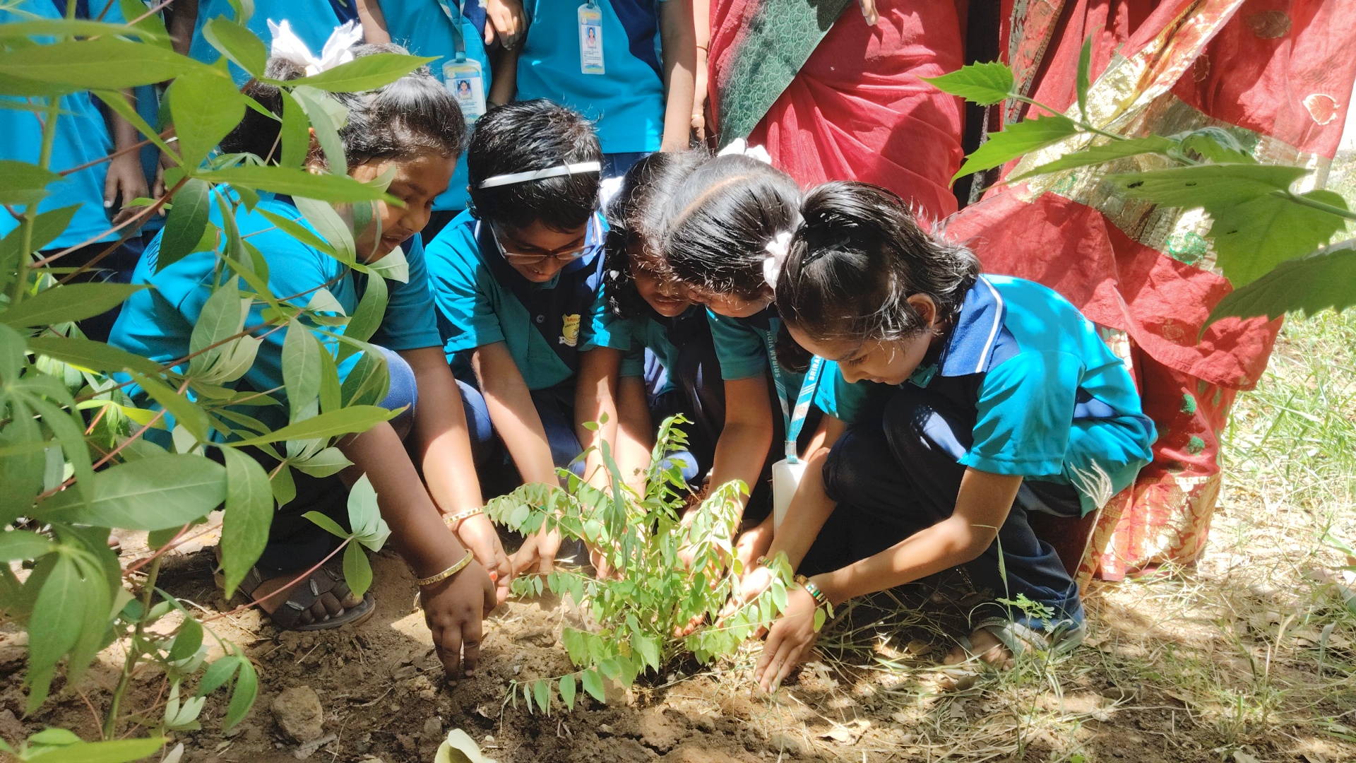 World Environment day (05/06/26)