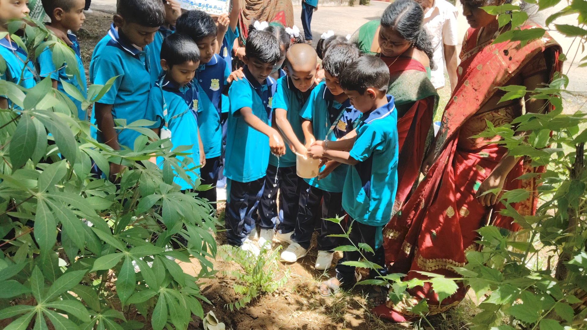World Environment day (05/06/26)